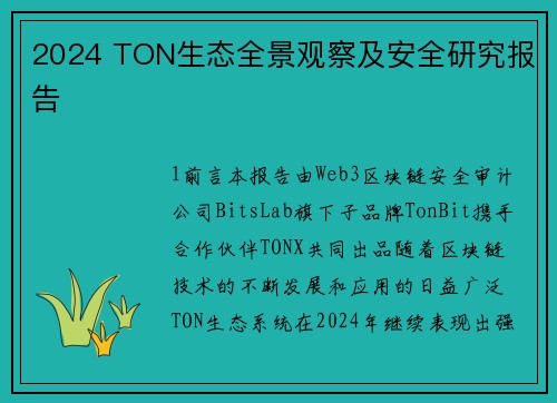 2024 TON生态全景观察及安全研究报告