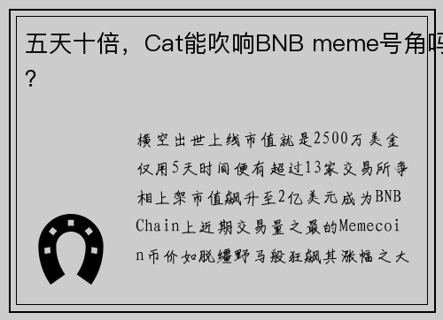 五天十倍，Cat能吹响BNB meme号角吗？